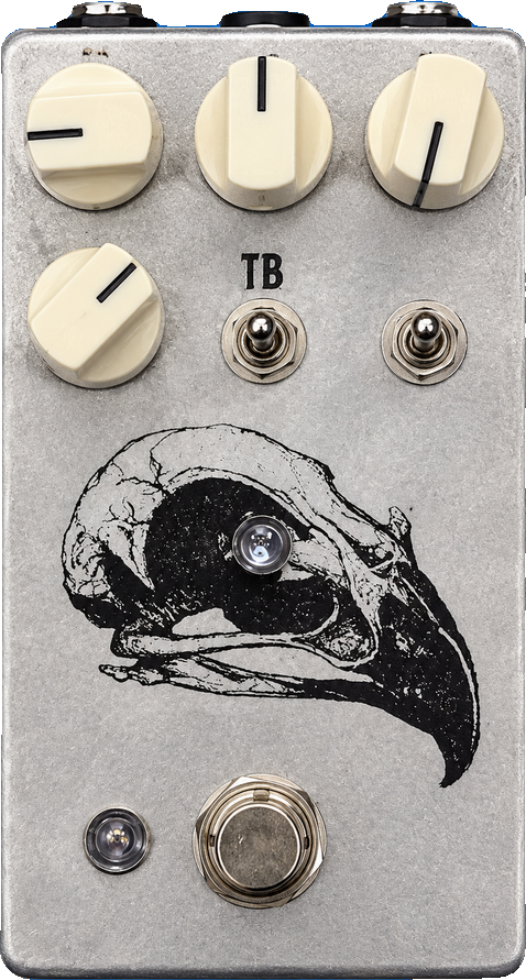 Nothing Is Dead Fuzz