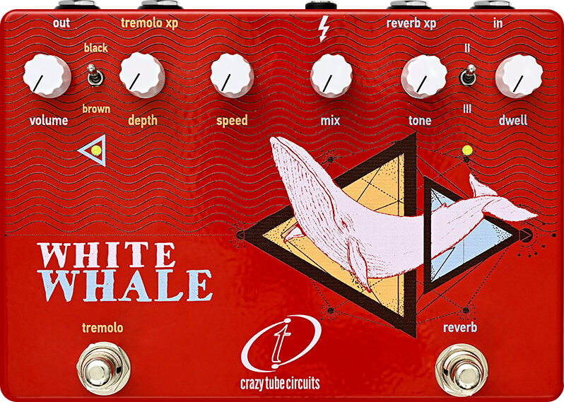 White Whale