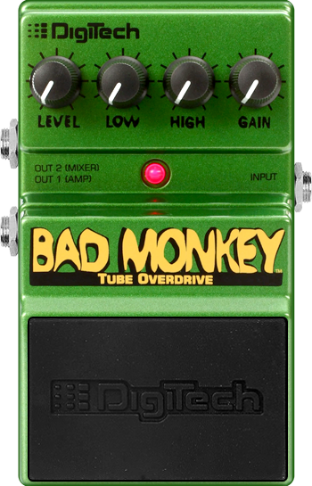 Bad Monkey