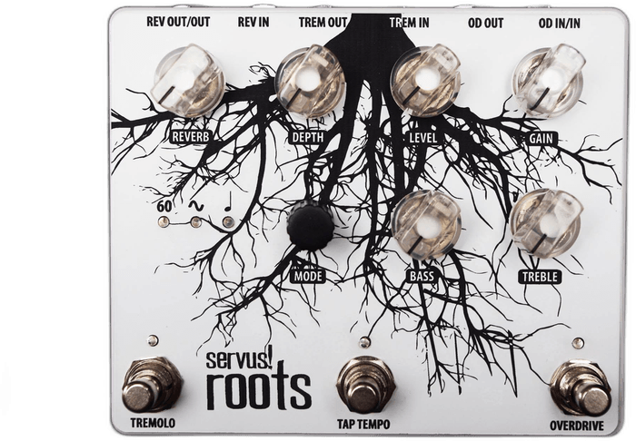 Roots