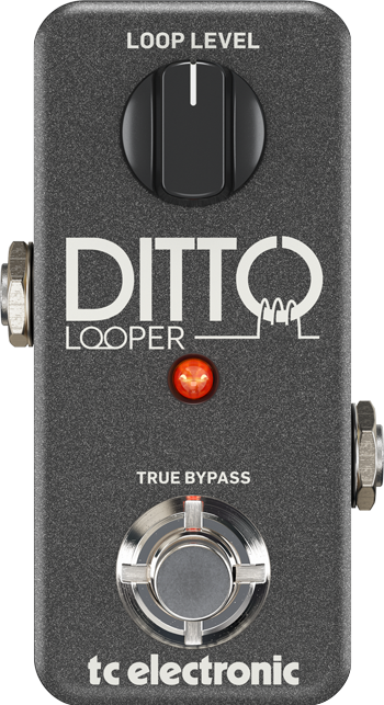 Ditto Looper